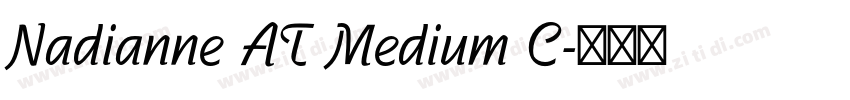 Nadianne AT Medium C字体转换